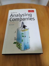 Analysing Companies:分析公司(外文)