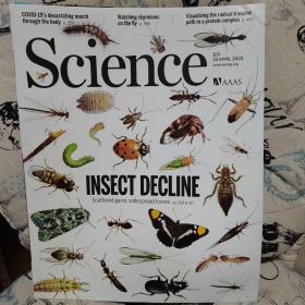Science（科学）AAAS周刊杂志 2020年4月全（4本合集）
原版进口 英文杂志