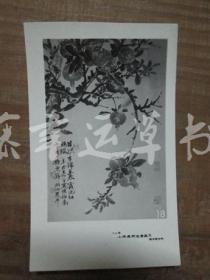 黑白照片一张：静乐簃 （1982年上海画院迎春画展）叶潞渊  绘画