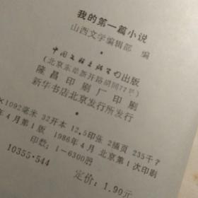 我的第一篇小说 中国文联出版社 作家谈创作丛书