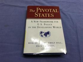 英文原版书  The Pivotal States