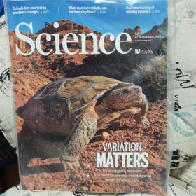 Science（科学）AAAS周刊杂志 2020年11月20日+27日刊（2本合集）
原版进口 英文杂志