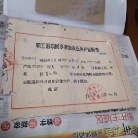 职工退职回乡参加农业生产证明书1962