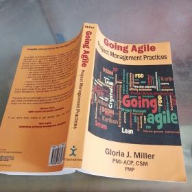 GOING AGILE PROJECT MANAGEMENT PRACTICES