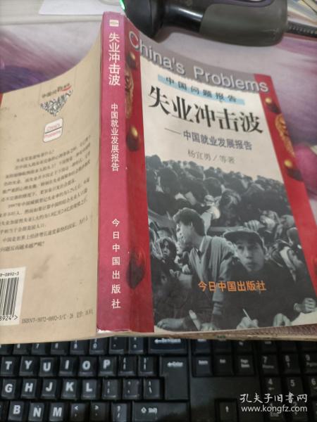 失业冲击波:中国就业发展报告