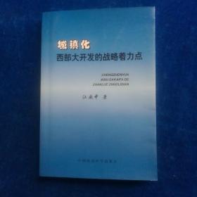 城镇化西部大开发的战略着力点