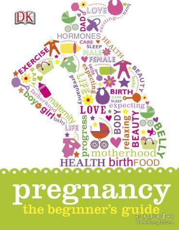 Pregnancy The Beginner's Guide，怀孕期指南，英文原版