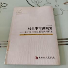 线性不可微规划：基于可持续发展的决策技术