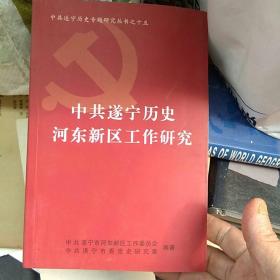 中国共产党遂宁历史，河东新区工作研究