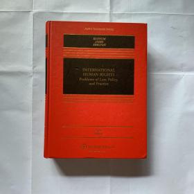 英文原版   International Human Rights: Problems of Law Policy, and Practice  16开 精装   一厚册 1128页