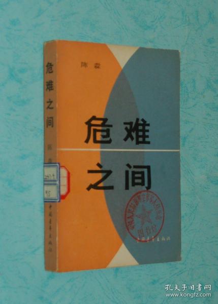 80年代初长篇：危难之间