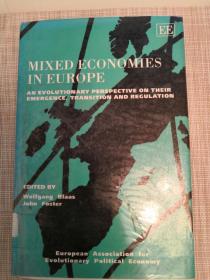 混合经济学在欧洲
Mixed Economies In Europe