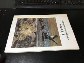 三江源自然保护区科学考察报告附录 动植物名录