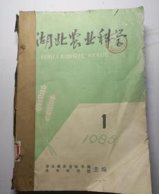 湖北农业科学 1985年(1-12)期 手工装钉合订本  (馆藏)