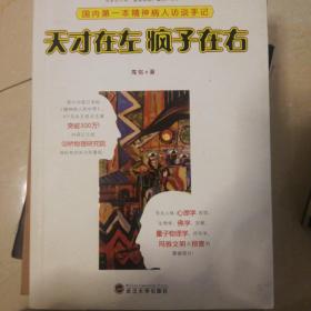 天才在左 疯子在右：国内第一本精神病人访谈手记