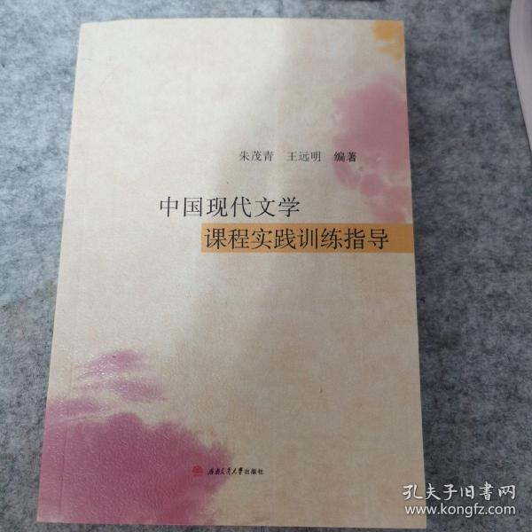 中国现代文学课程实践训练指导