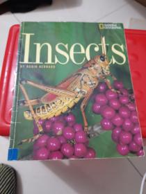 Insects