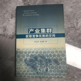 产业集群：获取竞争优势的空间