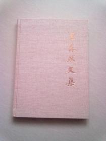 王森然文集《文学新论 卷》【2018年9月一版一印】 16开精装本有护封