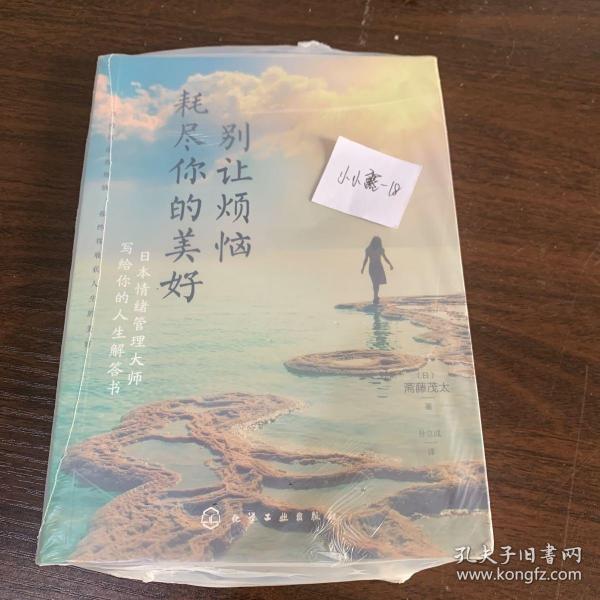 别让烦恼耗尽你的美好：日本情绪管理大师写给你的人生解答书