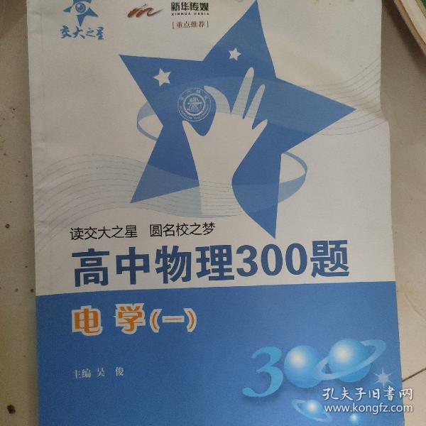 高中物理300题：电学（1）