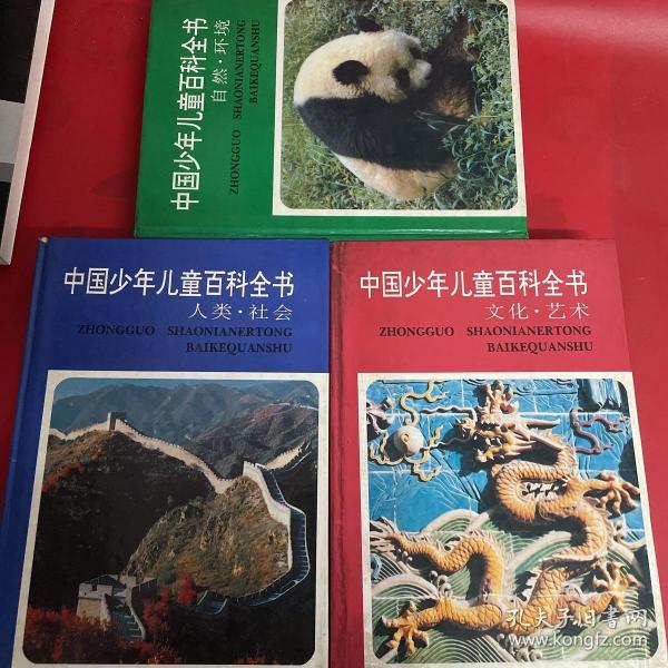 中国少年儿童百科全书：文化艺术