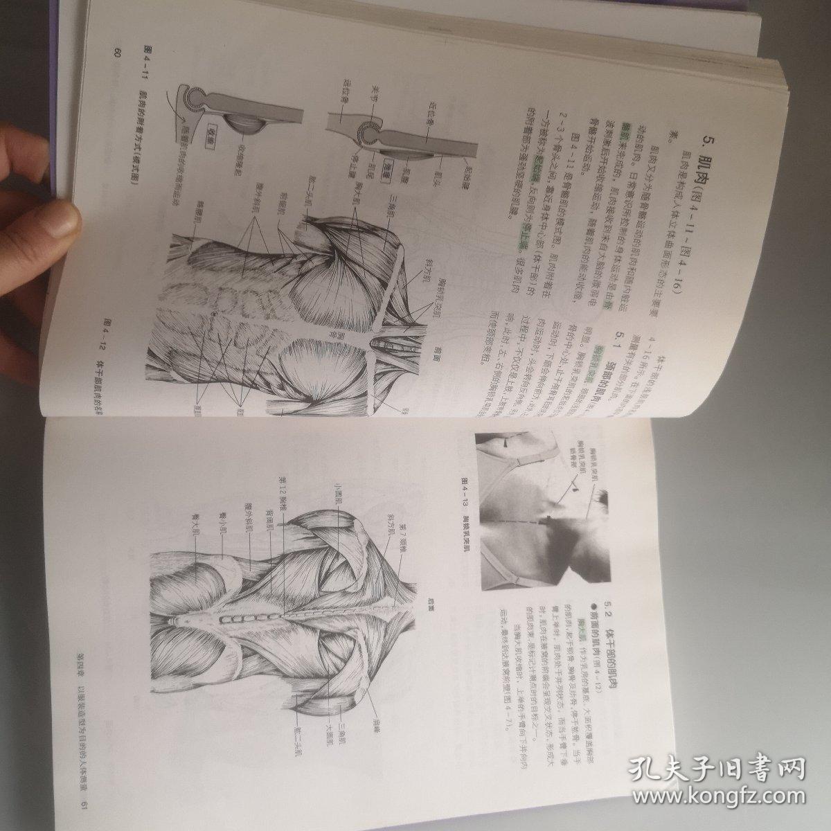 服装造型学.理论篇