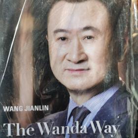 wangjianlin The Wanda Way