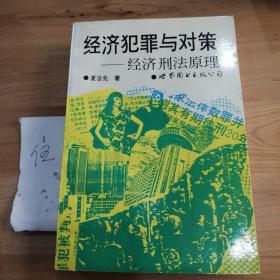 经济犯罪与对策:经济刑法原理