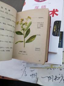 福建中草药 第一册 （至407页为彩色插图，后为黑白插图）