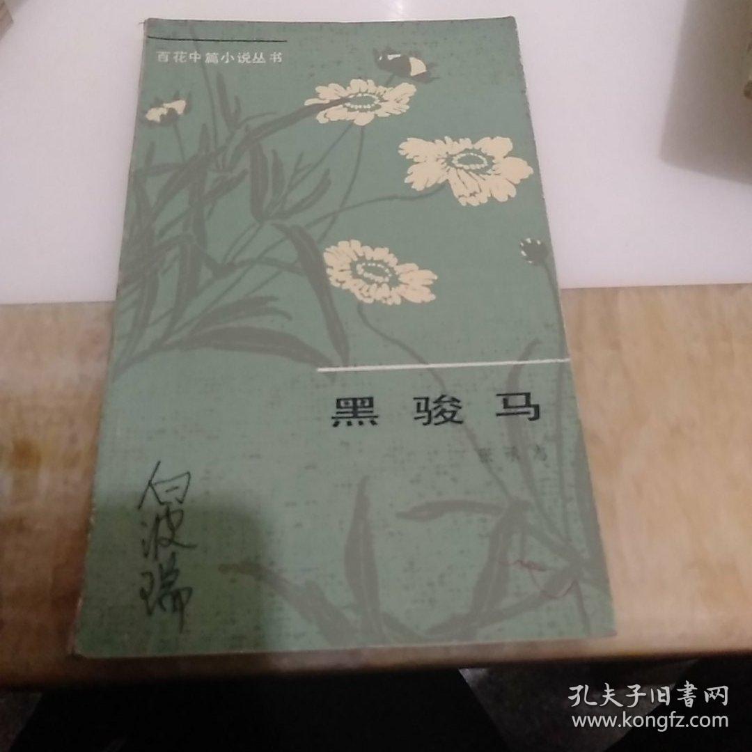 黑骏马