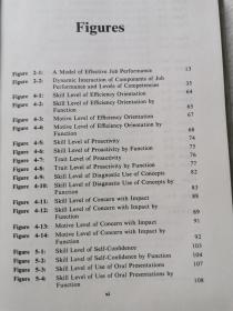 The Competent Manager：A Model for Effective Performance【英文原版 小16开精装+书衣 1982年印刷】