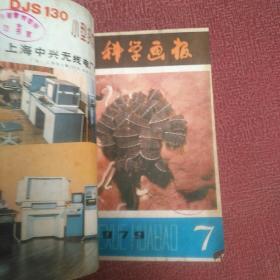 科学画报 1979年全年（1--12）期缺第3期共11本 自行装订成册