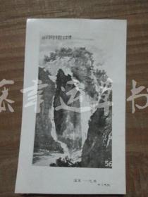 黑白照片一张：山水画（国画——花鸟）胡振郎 绘画
