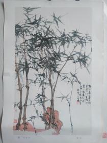 上海花鸟画选