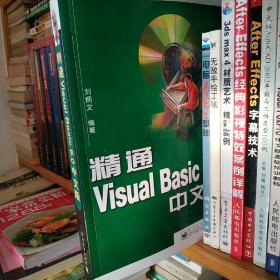 精通 Visual Basic 6.0 中文版