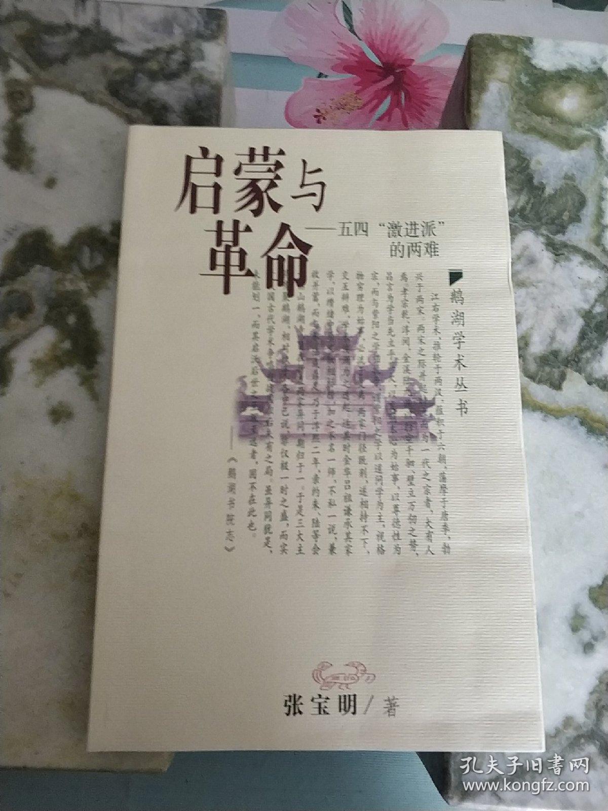启蒙与革命——五四“激进派”的两难