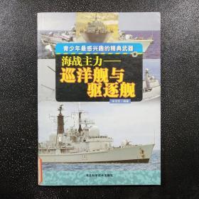 海战主力——巡洋舰与驱逐舰