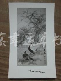 黑白照片一张：迎春（1982年上海画院迎春画展）乔木 绘画