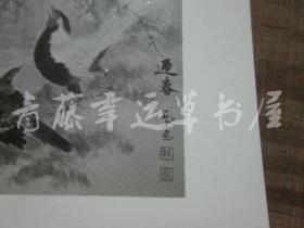 黑白照片一张：迎春（1982年上海画院迎春画展）乔木 绘画