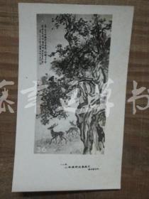 黑白照片一张：树木（1982年上海画院迎春画展）胡伯翔 绘画