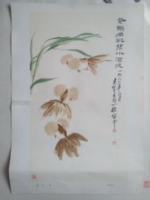 上海花鸟画选