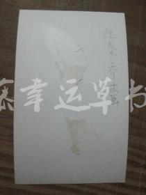 黑白照片一张：迎春（1982年上海画院迎春画展）乔木 绘画