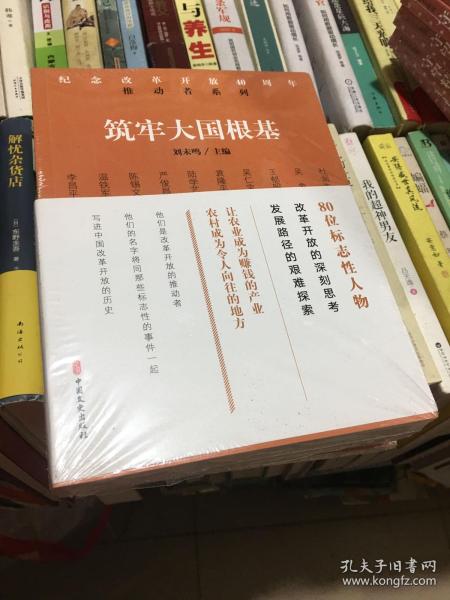 筑牢大国根基/纪念改革开放40周年推动者系列