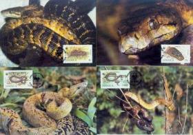 牙买加 1984 年 世界野生动物基金会  WWF 蟒蛇极限片 4全新