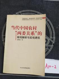 当代中国农村“两委关系”的微观解析与宏观透视