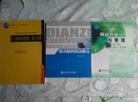 网站开发与管理  电子商务网站的规划设计与管理 电子商务网站建设