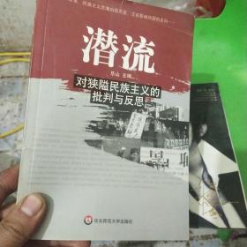 潜流：对狭隘民族主义的批判与反思