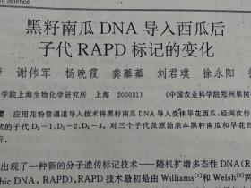 黑籽南瓜DNA导入西瓜后子代RAPD标记的变化