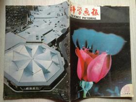 科学画报（1986年10期）本店一律正版现货实物拍照，全网最低价，欢迎新老客户选购。